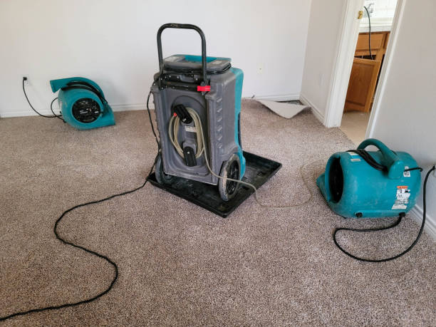Best 24/7 water damage repair  in Ara, AL