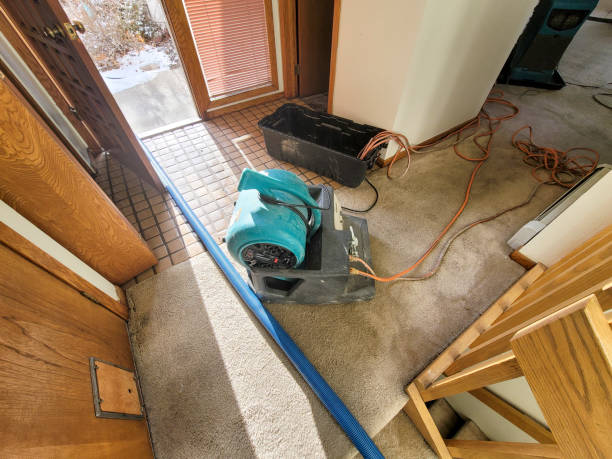 Best Local water damage restoration  in Ara, AL