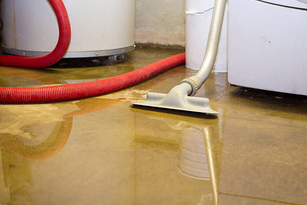 Best Water damage restoration process  in Ara, AL